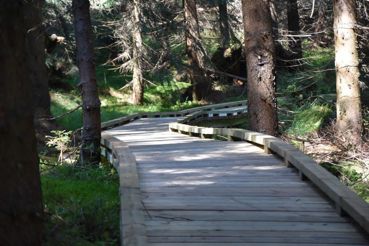 Budowa ścieżek rowerowych oraz tarasów widokowych w celu kanalizacji ruchu turystycznego na cennych przyrodniczo obszarach Natura 2000 w Szklarskiej Porębie